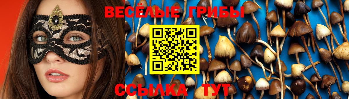 Псилоцибиновые грибы ЛСД Сочи